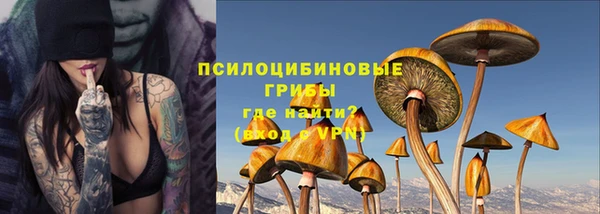 прущие грибы Белоозёрский
