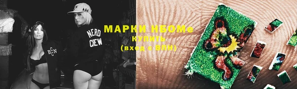 прущие грибы Белоозёрский