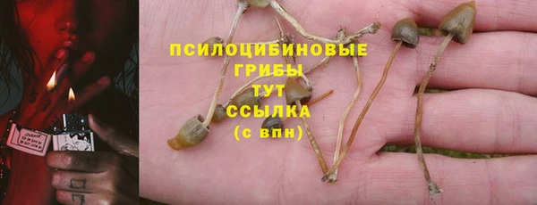 гидропоника Аркадак