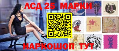 гидра Будённовск