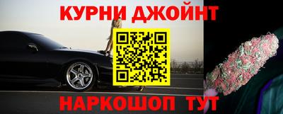 гидра Будённовск