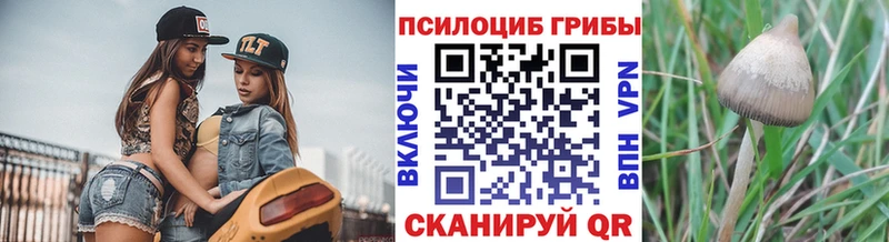 Псилоцибиновые грибы Psilocybe  что такое наркотик  Воркута 