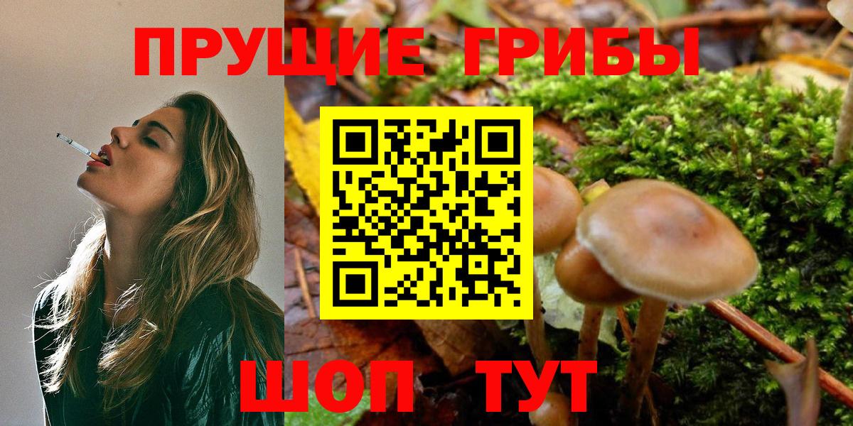 Воркута  Галлюциногенные грибы Magic Shrooms  Вход с VPN  Галлюциногенные грибы GOLDEN TEACHER 
