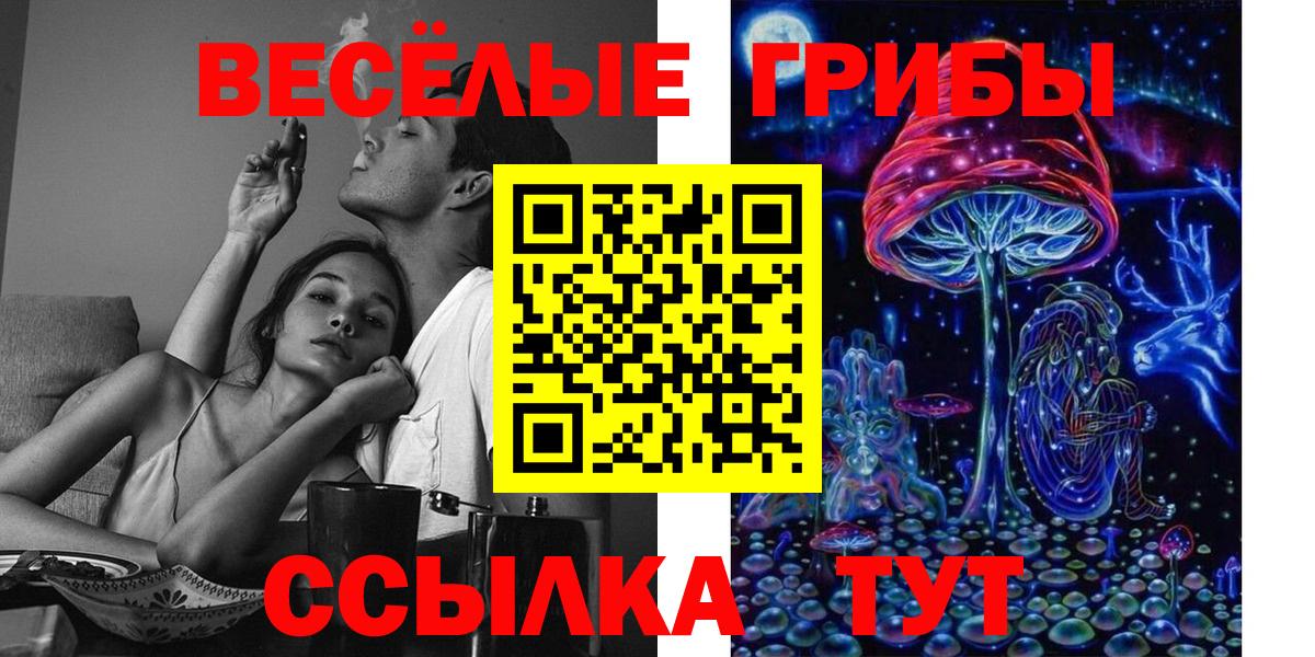 Галлюциногенные грибы Cubensis  Воркута 