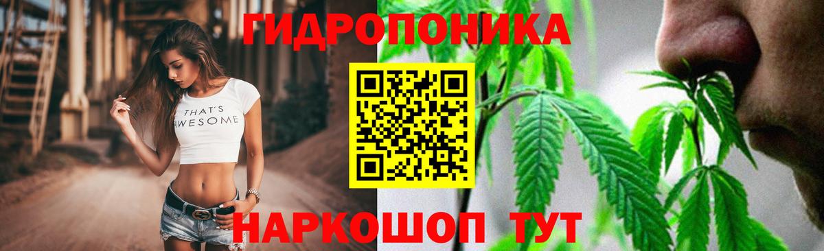 Канабис OG Kush Воркута